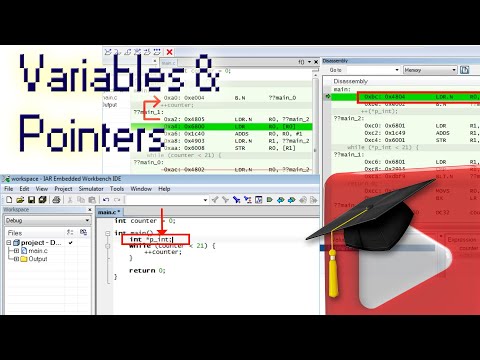 #3 Variables and Pointers