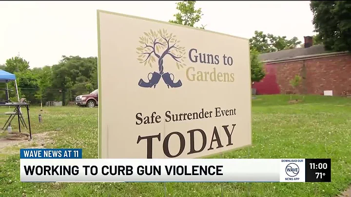Working to curb gun violence