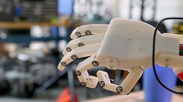A Robotic Hand with Brains