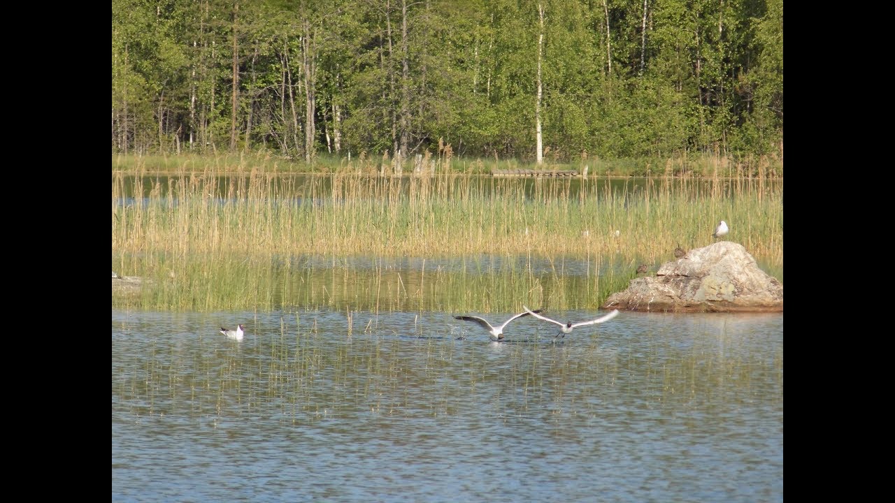 Большое красноперское озеро