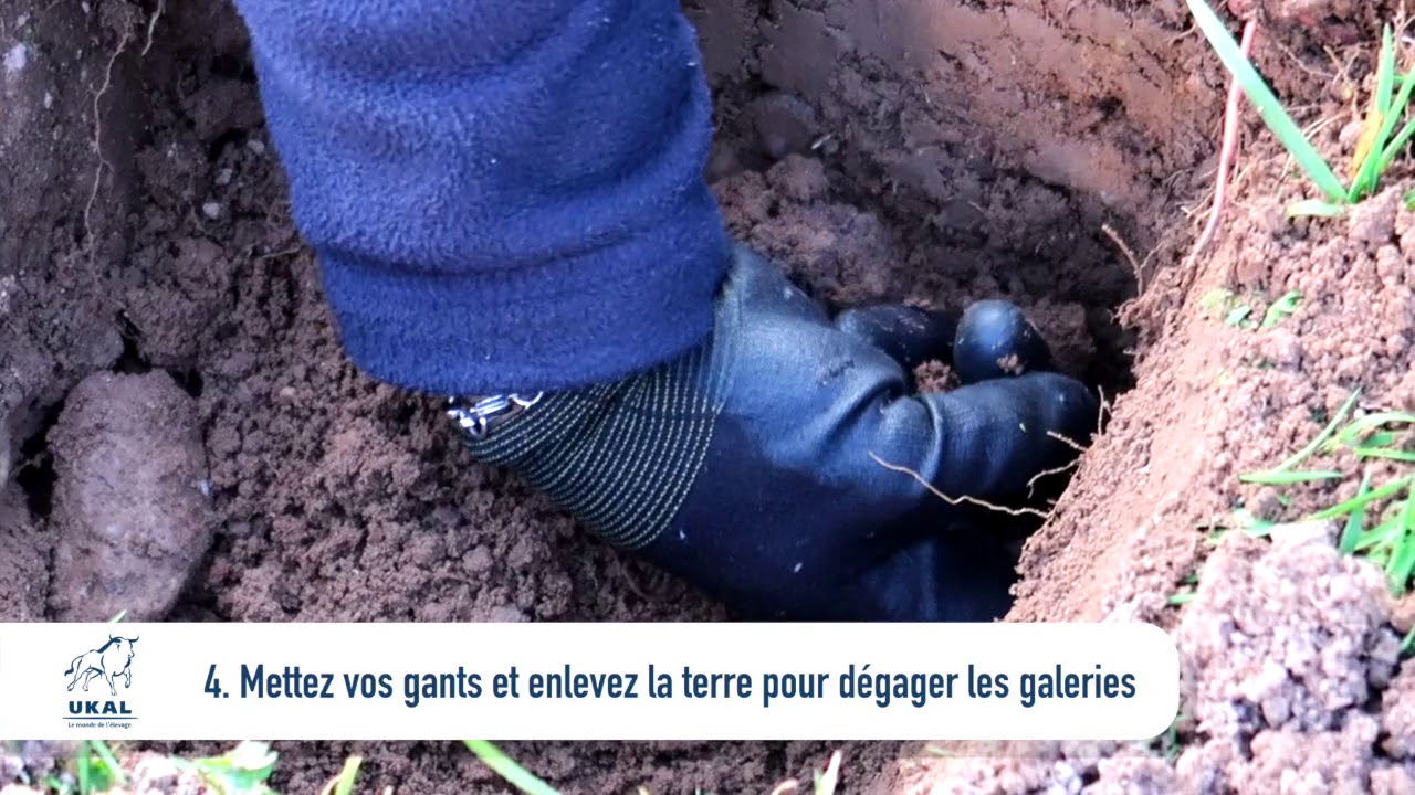 Vidéos de démonstration du piège à taupe pour son installation