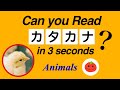 【KATAKANA READING TEST】Katakana Quiz: Animals in Japanese | Katakana practice for Beginners