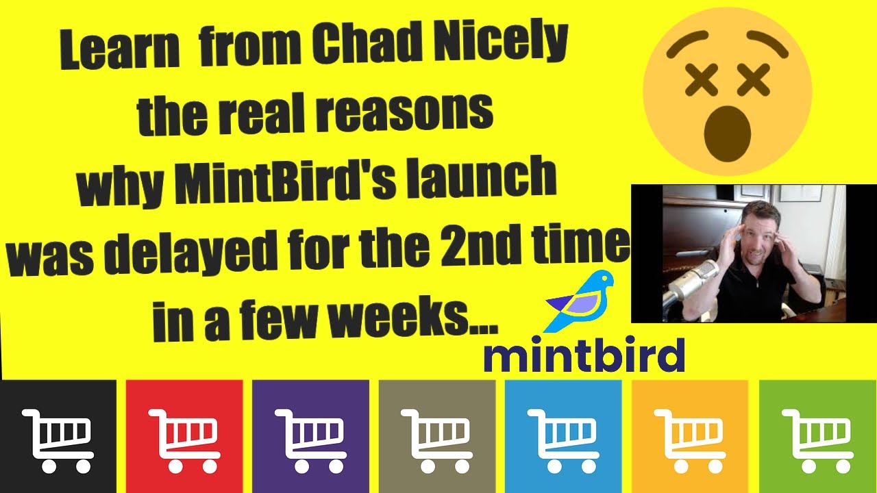 reason Why Mintbird Postponed Mintbird Launch Posponed Check It Out