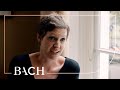 Doyle on Bach Cantata BWV 199 | Netherlands Bach Society