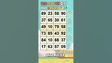 Find 3 Pairs of Identical Numbers 🎲 | 같은숫자찾기