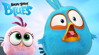 Angry Birds Blues | The Blues' Craziest Fails! 🤣
