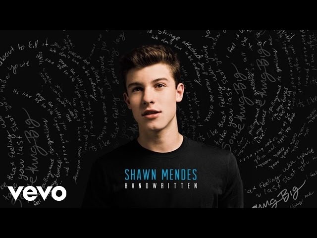 Shawn Mendes - Strings (Official Audio) class=