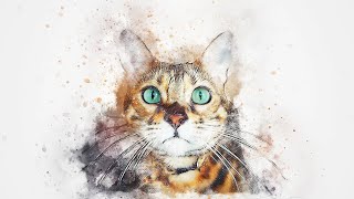 Beautiful Cat Artwork! See description below for the perfect cat painting