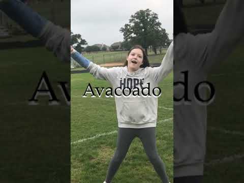 "Project_05-17_HD 720p" Fan Video