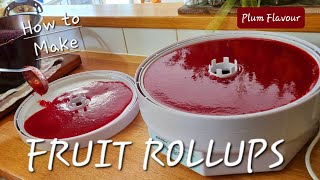 Make Homemade FRUIT ROLLUPS | Plum Flavoured Fruit Leather | Full method you can adapt to your fruit
