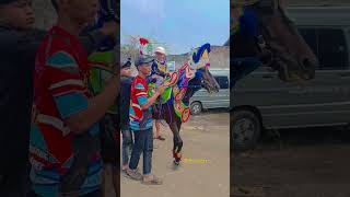 dance horse