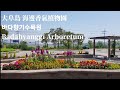 Vlog #2 韓國大阜島海邊香氣植物園 DAEBUDO ISLAND
