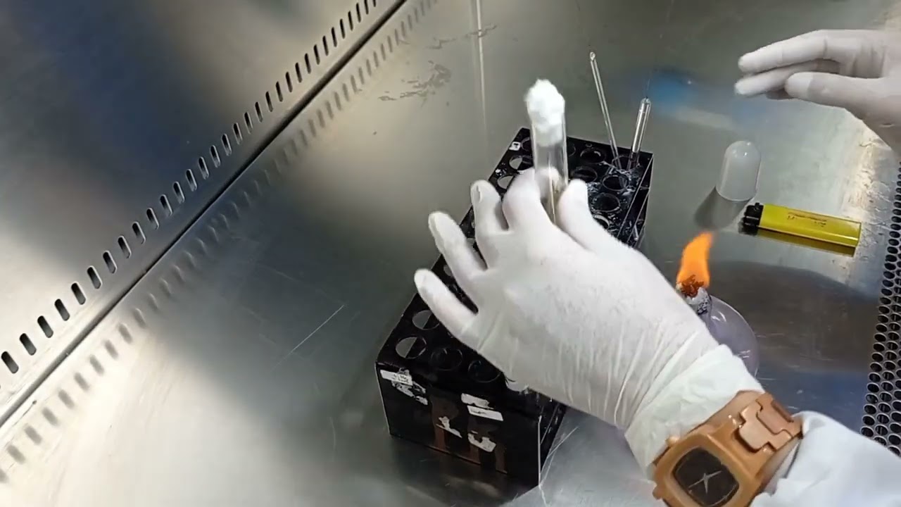 PENANAMAN BAKTERI PADA MEDIA CAIR PADAT DAN SEMI PADAT