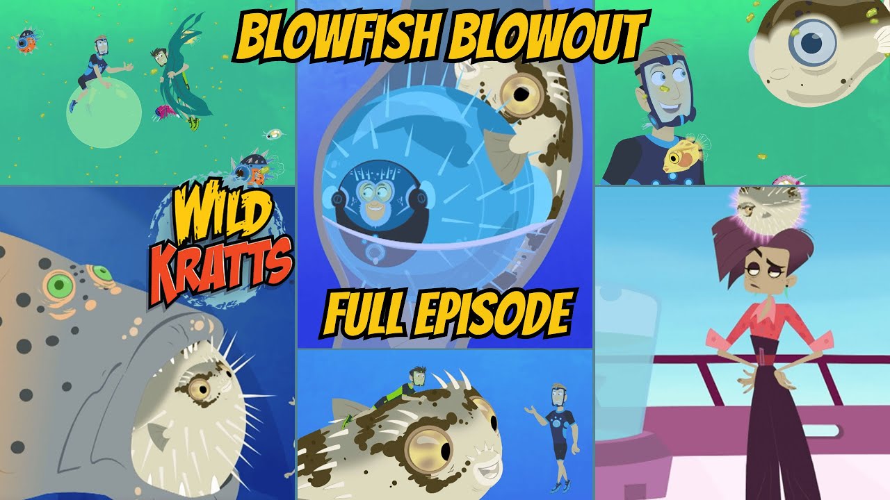 Wild Kratts S02E09 - Blowfish Blowout (Full Episode) - YouTube