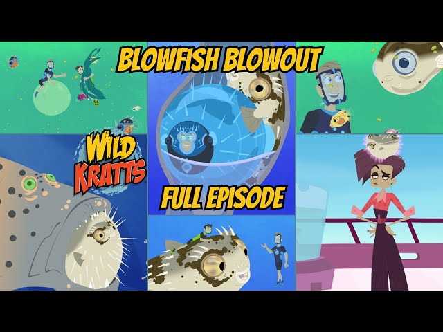 Wild Kratts S02E09 - Blowfish Blowout (Full Episode) - YouTube