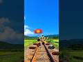Railroad Crossings Play With Whack-A-Mole #Shorts