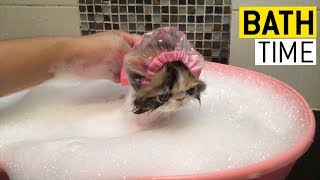 Bath Time || JukinVideo