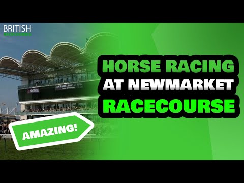 Bet365 Presents Newmarket Races | Horse Racing at Newmarket Racecourse