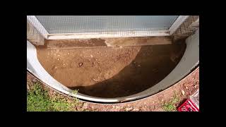 Restoring Neglected Window Wells