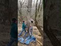 Men rescue deer with antlers stuck in rope