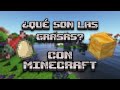 Te EXPLICO las GRASAS con MINECRAFT #minecraft