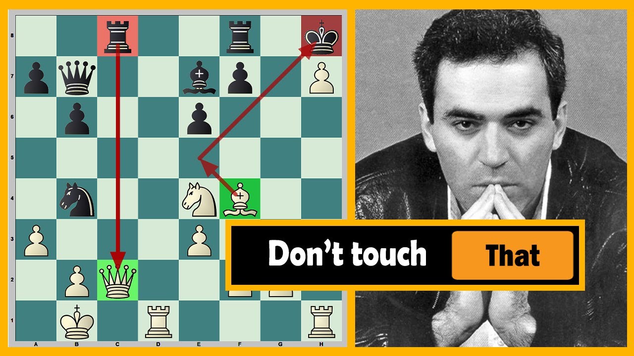 The best chess games of Garry Kasparov 