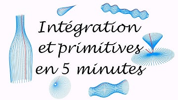 Intégration et primitives (en 5 minutes) - Terminale