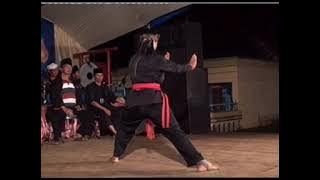 penampilan ningsri pencak silat trisakti