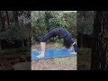 Yoga yur  saintbrvinlocan  centenaire bks iyengar