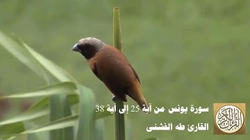 طه الفشني - سورة  يونس من آية ٢٥ إلى آية ٣٨ - وَاللَّهُ يَدْعُو إِلَىٰ دَارِ السَّلَامِ