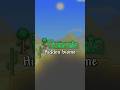 Terraria’s Hidden Biome. #terraria