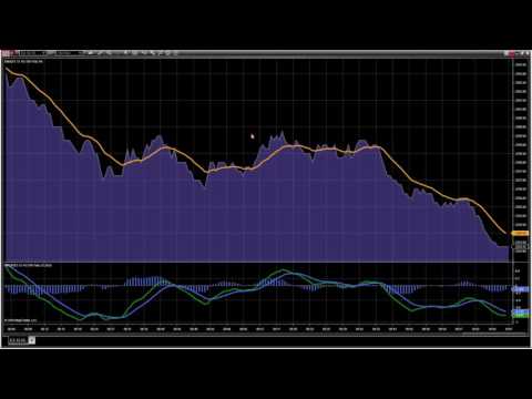Ninjatrader License Key Serial