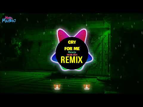 Cry For Me DJ阿智Remix Tiktok 2025 Michita X Ami 愛海 Hot Tiktok Douyin DJ抖音版