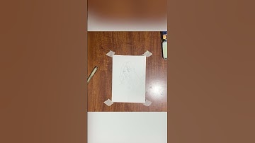 Hướng dẫn cơ bản để tạo ra các thiết kế Vẽ Tranh đẹp và độc đáo