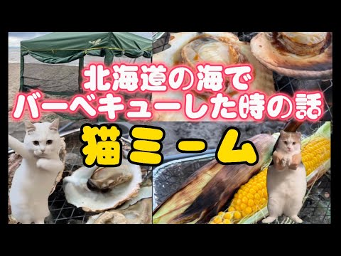 【猫ミーム】北海道のバーベキューが最高だった話