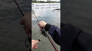 Barramundi Couldn't Resist This Rapala Soft Jerk Bait! ⬆️ full vid! #fishing #rapala #crushcity screenshot 1