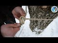 Видео 4: Узлы для крепления веревки к опоре