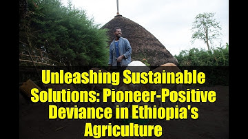 Unleashing Sustainable Solutions: Pioneer-Positive Deviance in Ethiopia