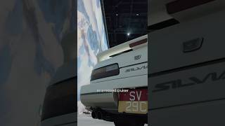 Meet the RARE S13 Autech