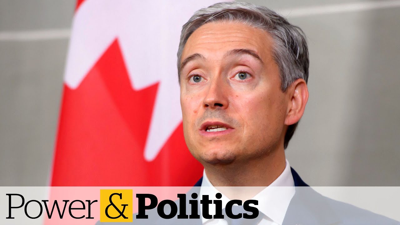 Canada repatriating 5-year-old orphan held in Syrian camp