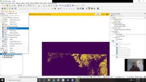 QGIS3.16.2 with GRASS, reclassify raster, raster to polygon
