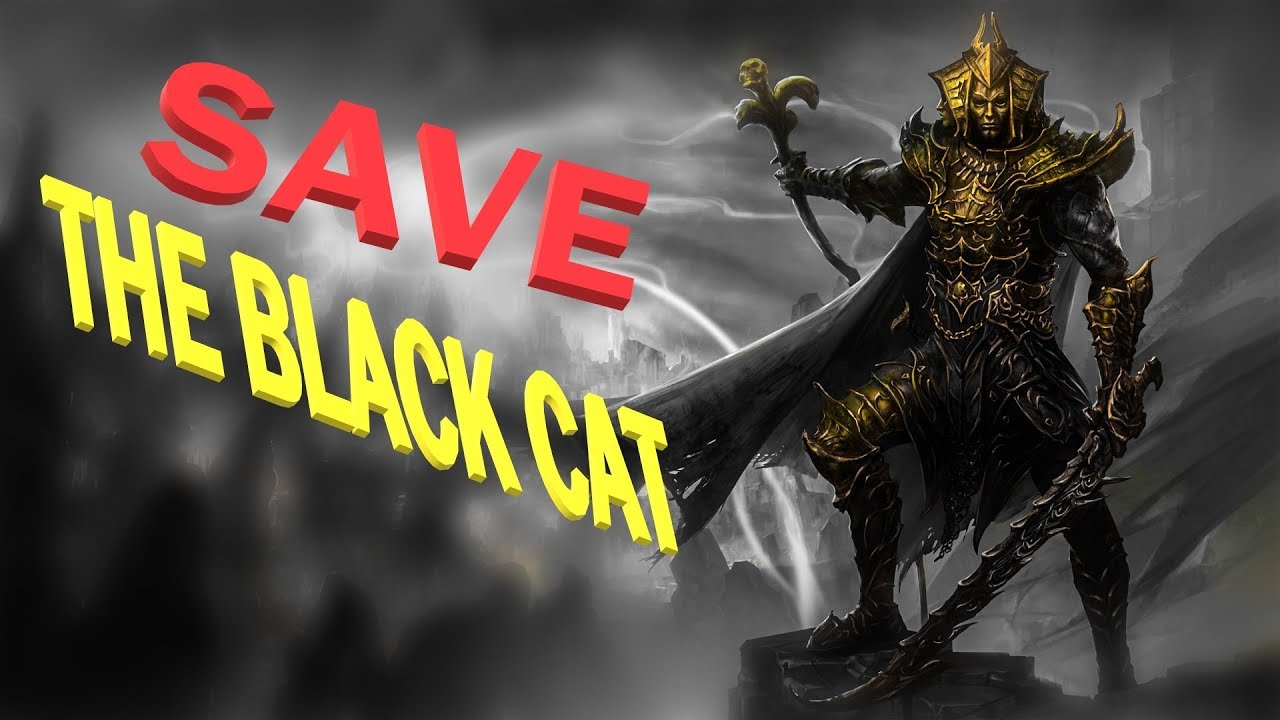 divinity original sin 2 black cat dissaper divinity original sin 2 black cat dissaper