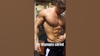 Bulk vs Shred