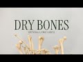 Dry Bones (Official Lyric Video)