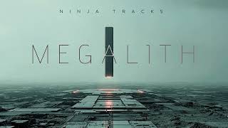Ninja Tracks - Rays Of Light