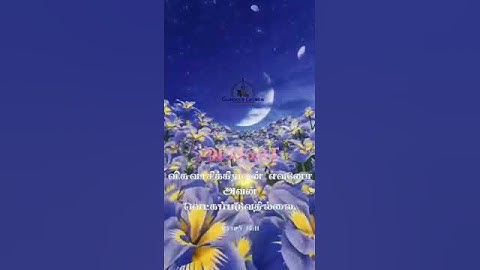 scs short videos whatsapp status