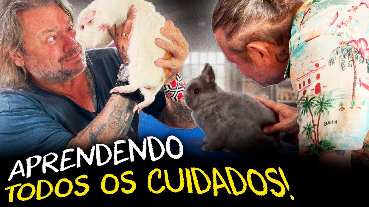 APRENDA COMO CUIDAR DO SEU COELHO OU PORQUINHO-DA-ÍNDIA! | A CASA DOS BICHOS