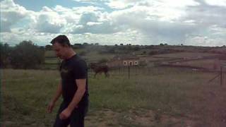 DSCF3764.AVI