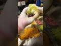 🔥 Watching This Fresh Mochi Being Wrapped Is So Satisfying