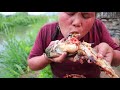 survival in the rainforest - cooking nine pangasius djambal for herself & dogs -Eating delicious HD